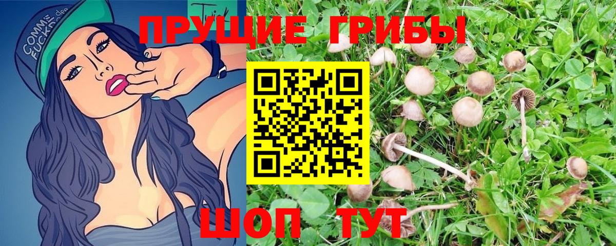 Галлюциногенные грибы Psilocybine cubensis  Вход с VPN  Сердобск 
