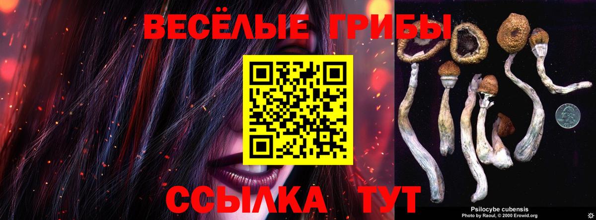 Псилоцибиновые грибы GOLDEN TEACHER Сердобск